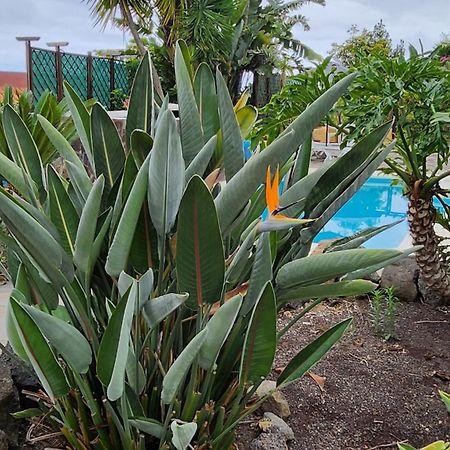 Villa Oasis Hill Botanical Garden Icod De Los Vinos Exterior foto