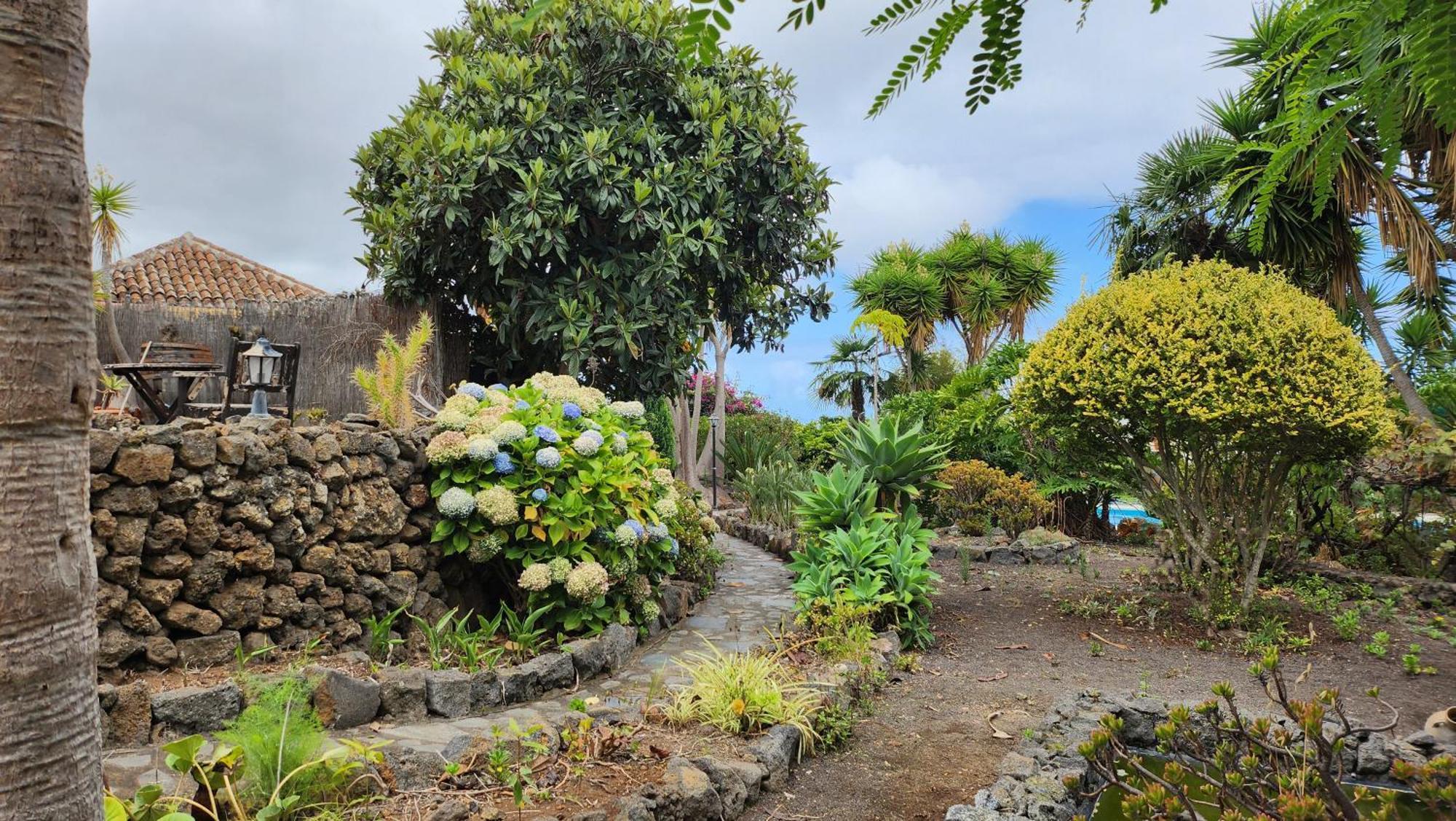Villa Oasis Hill Botanical Garden Icod De Los Vinos Exterior foto