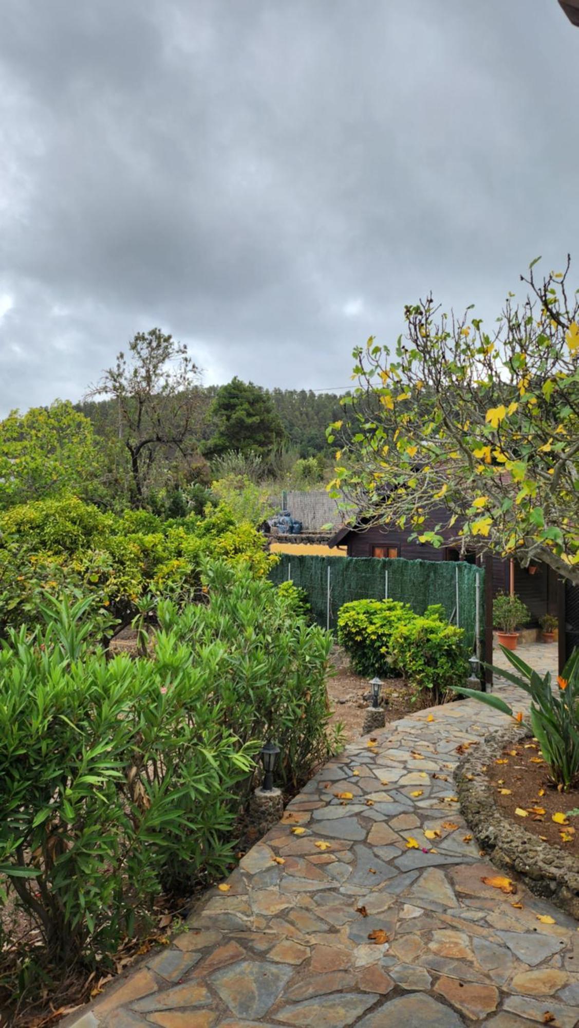 Villa Oasis Hill Botanical Garden Icod De Los Vinos Exterior foto
