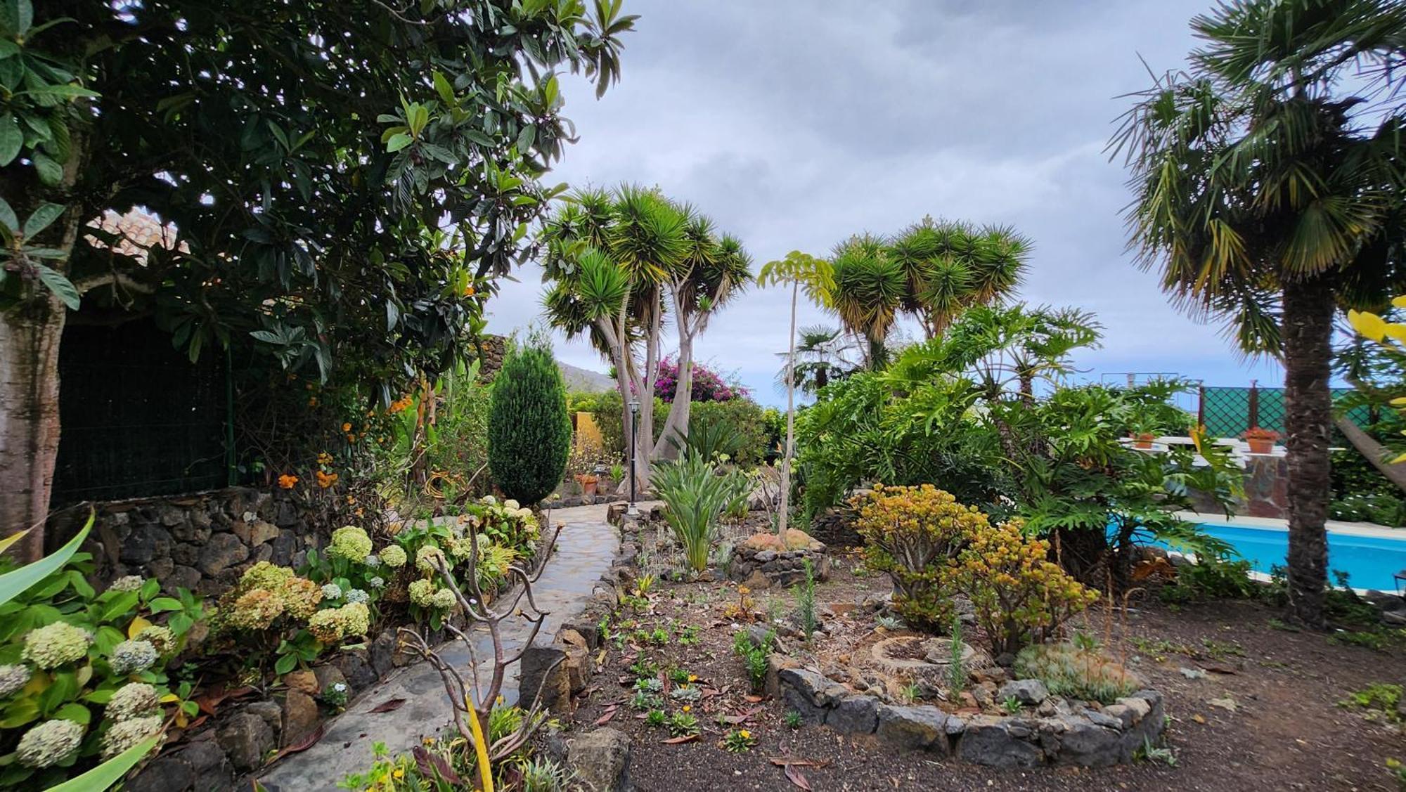 Villa Oasis Hill Botanical Garden Icod De Los Vinos Exterior foto