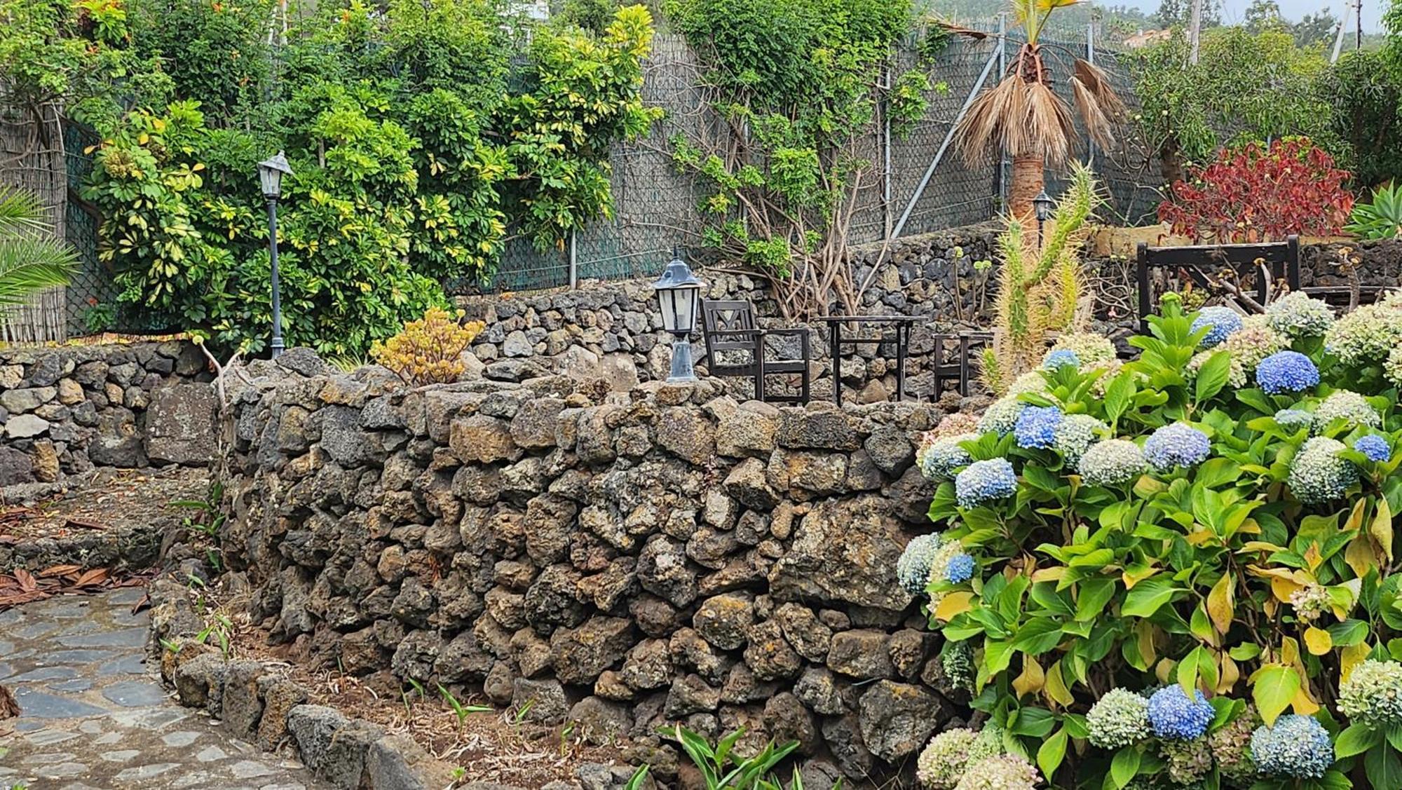 Villa Oasis Hill Botanical Garden Icod De Los Vinos Exterior foto