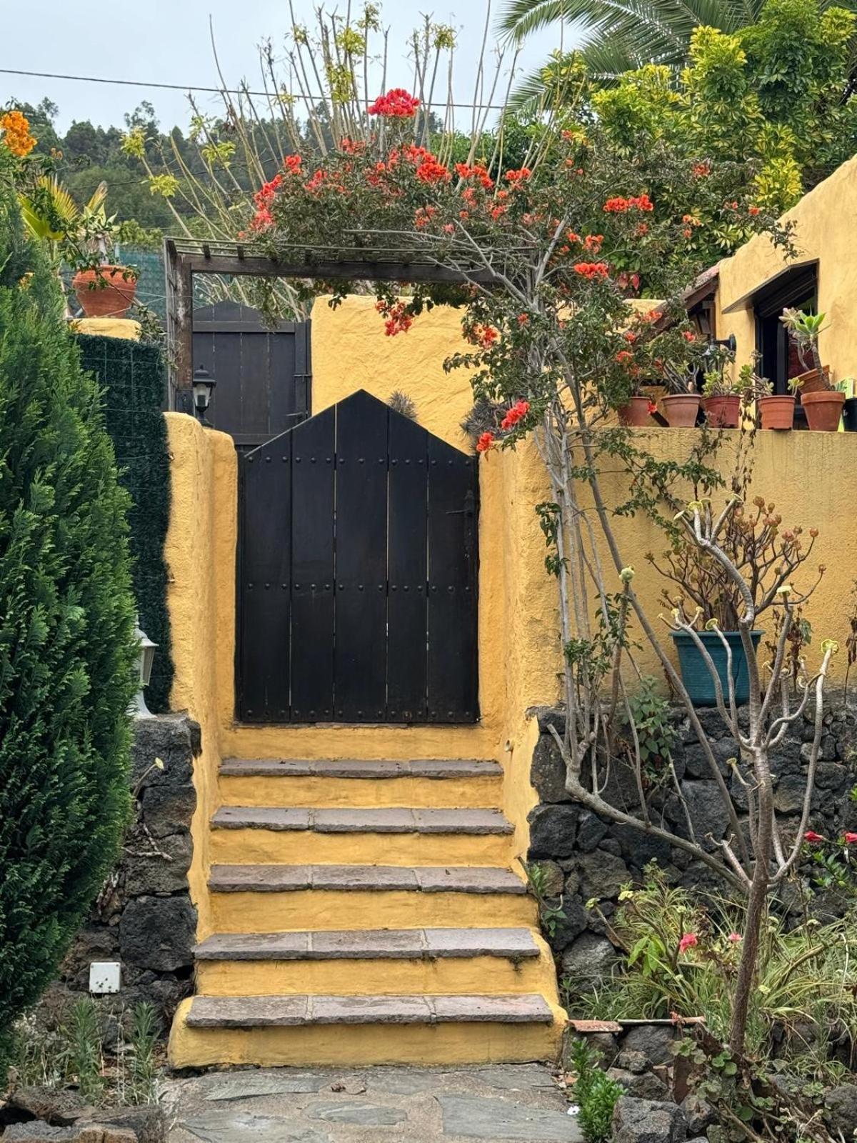 Villa Oasis Hill Botanical Garden Icod De Los Vinos Exterior foto
